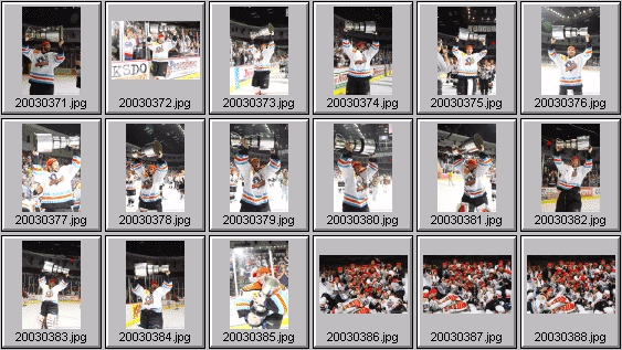 hockey photos