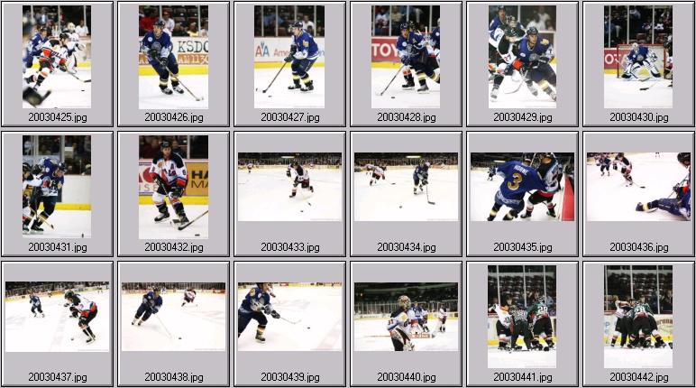 echl hockey
