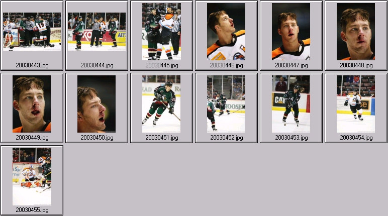echl hockey