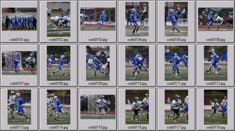 men's lacrosse