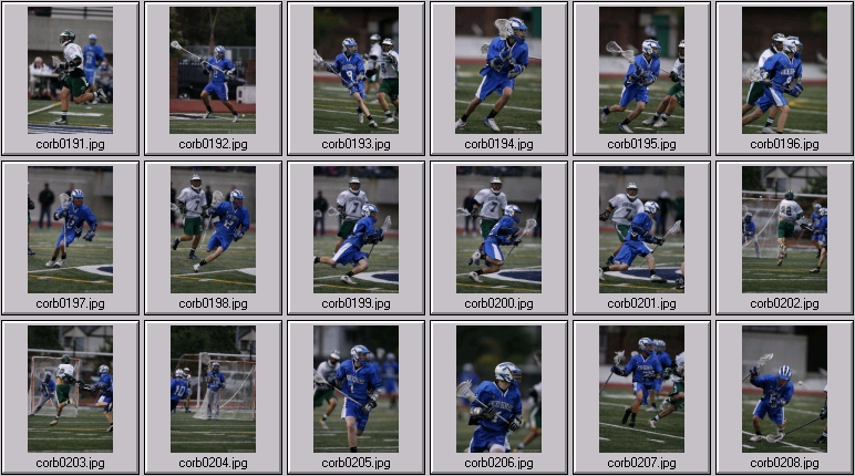 men's lacrosse