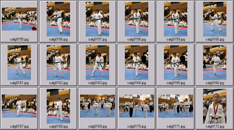 taekwondo