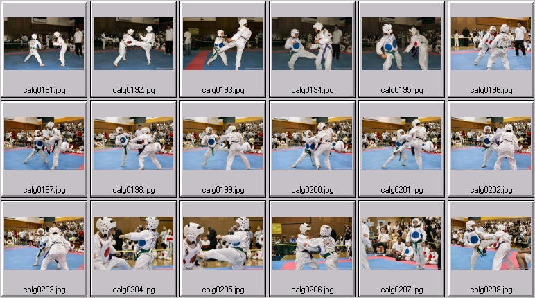 womens martial arts