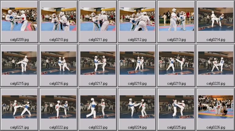 womens martial arts