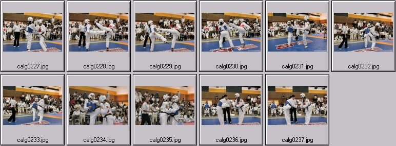 womens martial arts