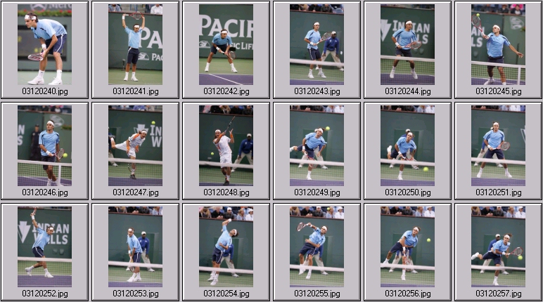 roger federer photo