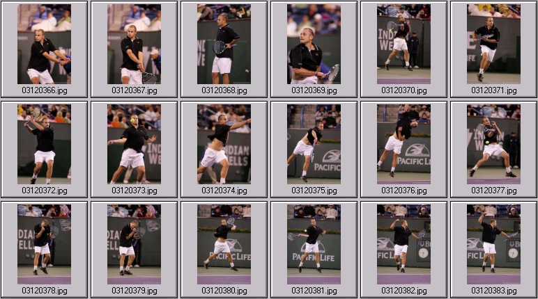 andy roddick photo