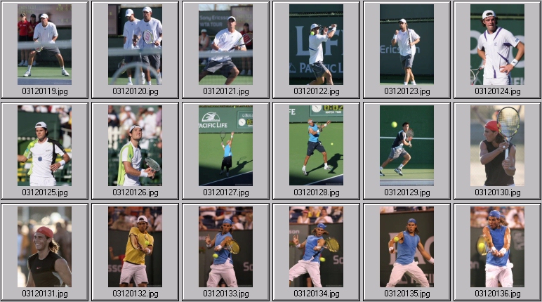 federer