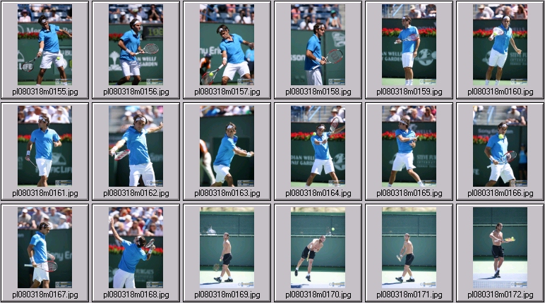 federer