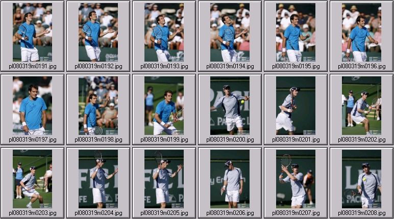 tommy haas