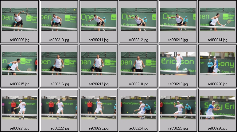 querrey photos
