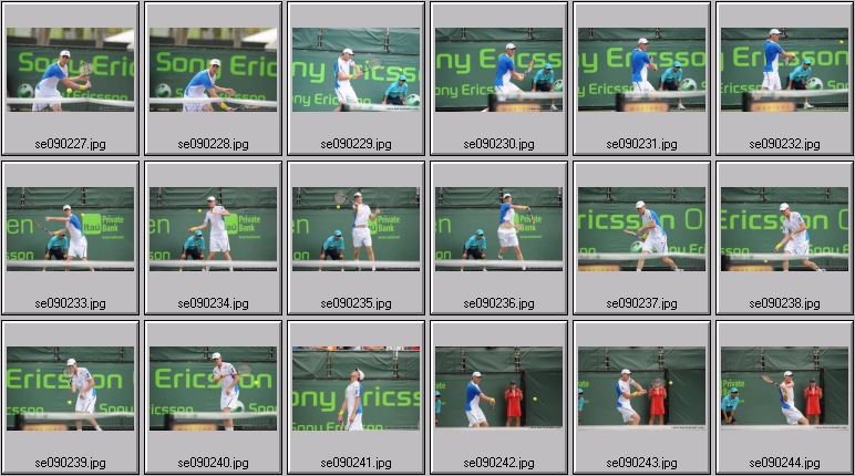 querrey photos
