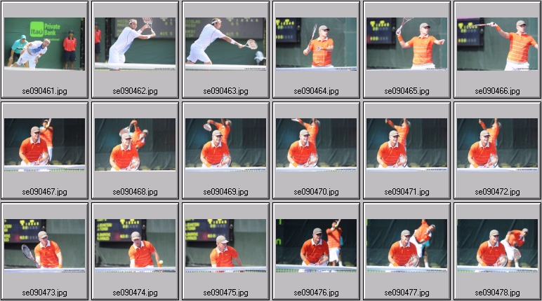 mardy fish photos