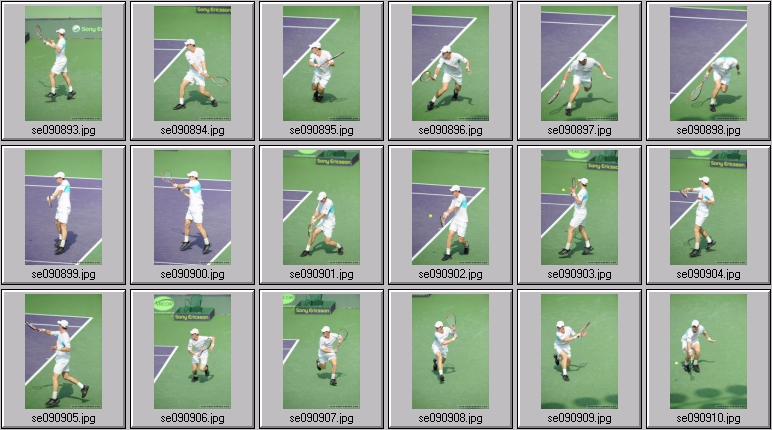 andy murray