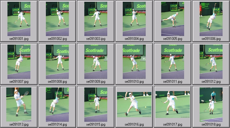 andy murray