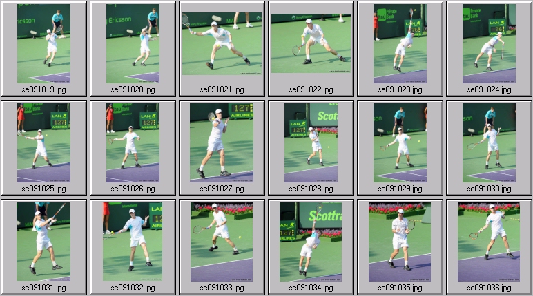 andy murray