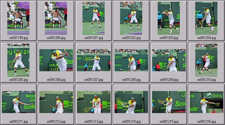 rafael nadal