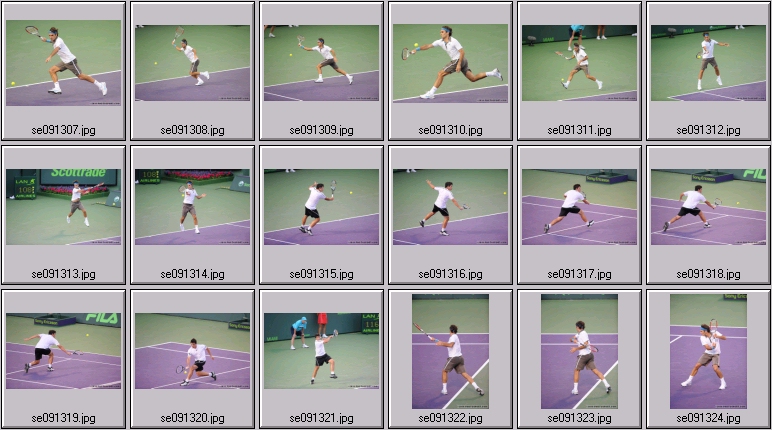 roger federer
