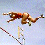 Women's Pole Vaulting Photos