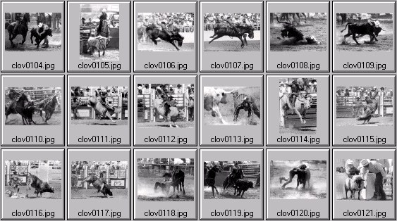 rodeo pictures