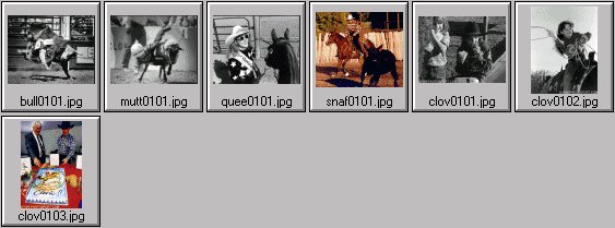 rodeo pictures