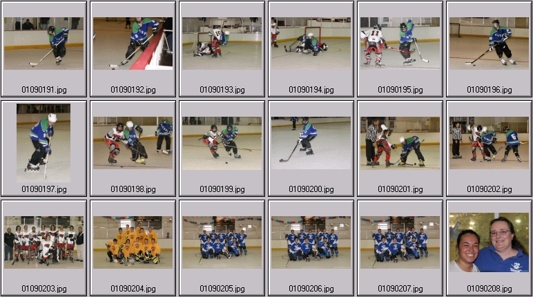 roller hockey