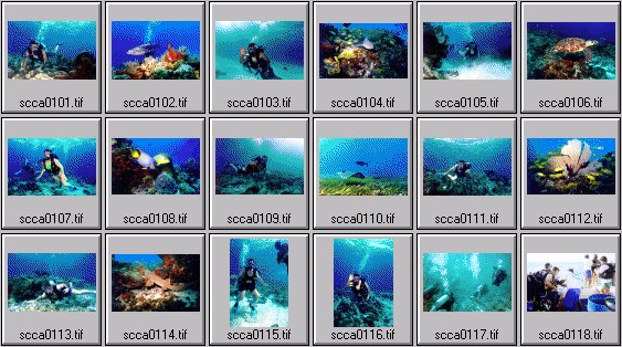 scuba diving