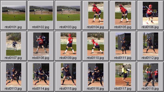 softball photos