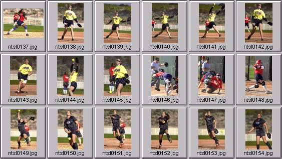 softball photos