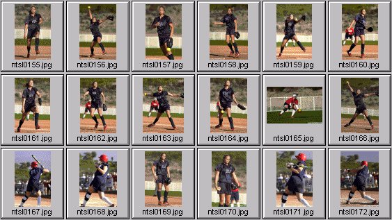 softball photos
