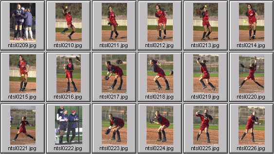 softball photos