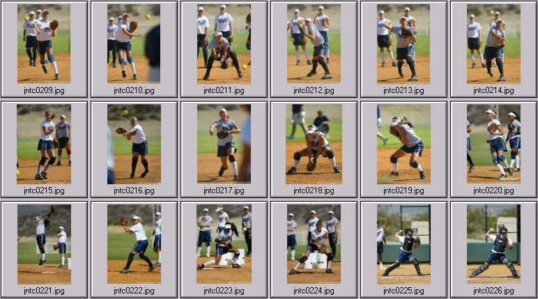 us womens softball
