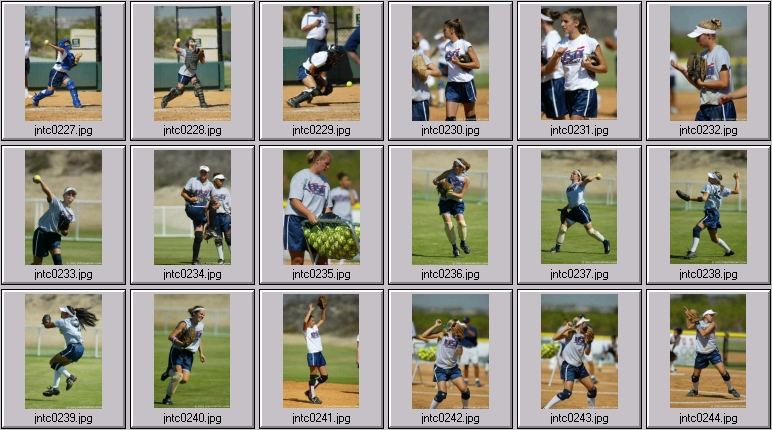 us womens softball