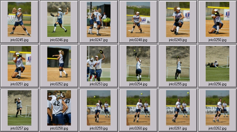 us womens softball