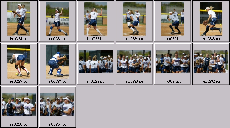 us womens softball