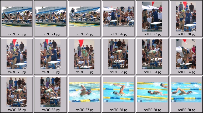 women's swimming