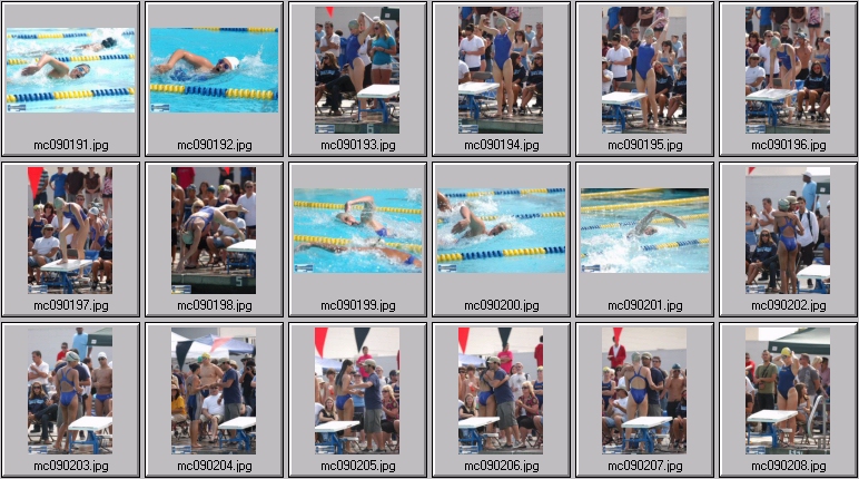 women's swimming