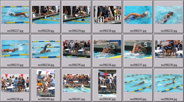 women's swimming