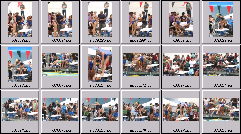 women's swimming