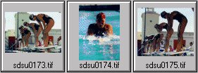 womens swimming photos