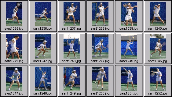 dokic dementieva