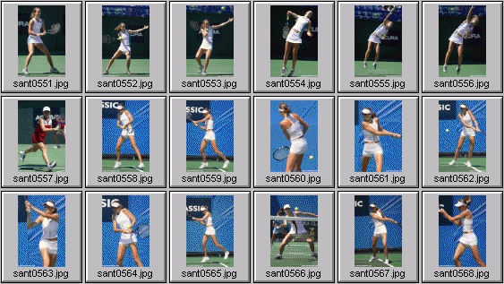 womens tennis