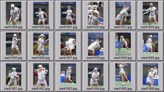 kim clijsters