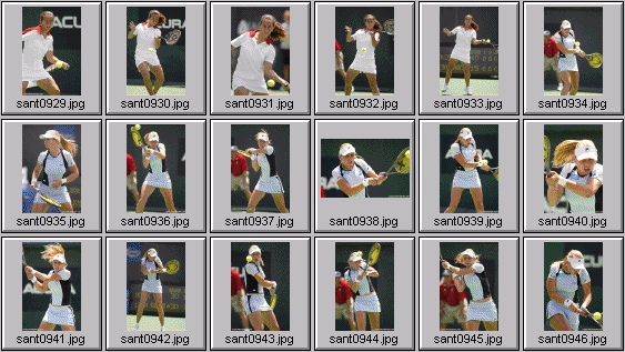 jelena dokic