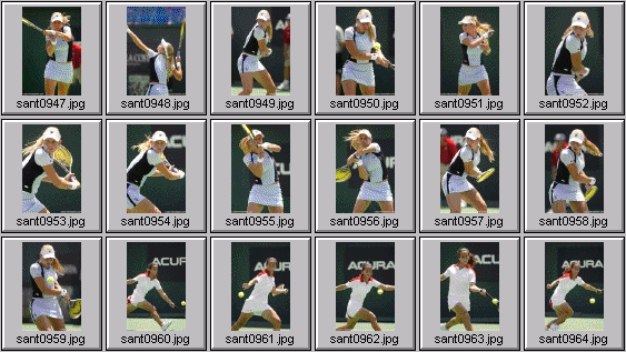 jelena dokic