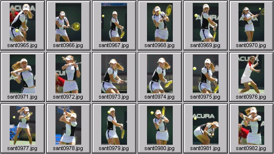 jelena dokic