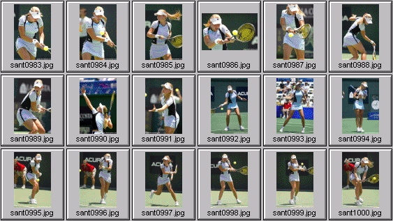 jelena dokic