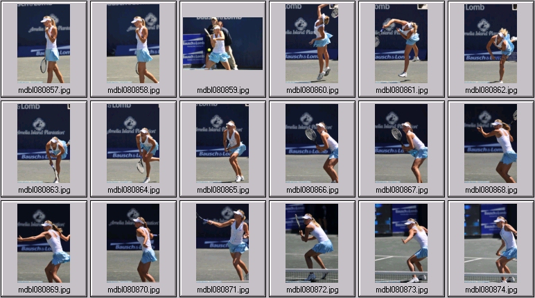 dominika cibulkova