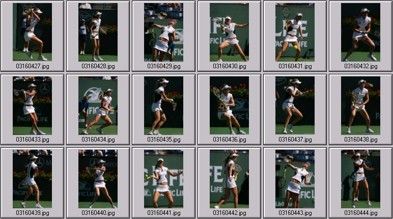 shaughnessy photos