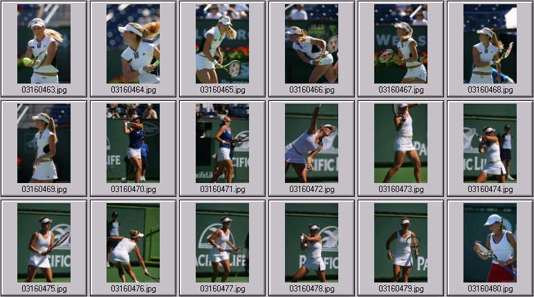 shaughnessy photos